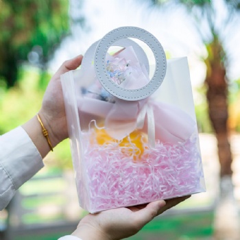 PP hand bag for gift